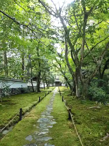 西芳寺(京都府)
