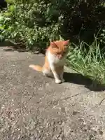 服部天満宮(愛知県)