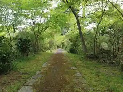 正伝護国禅寺(正伝寺･正傳寺)(京都府)