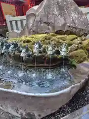 九頭龍神社新宮(神奈川県)