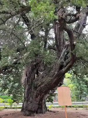 建長寺(神奈川県)