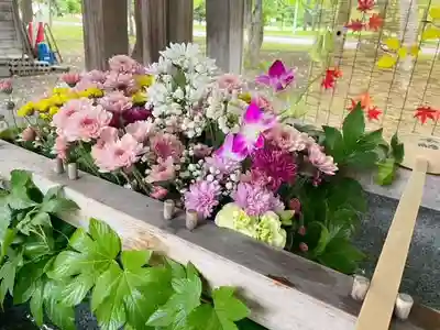 彌彦神社　(伊夜日子神社)の手水舎