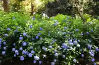 浄土寺(兵庫県)