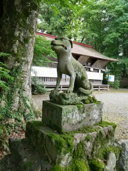 椋神社の狛犬