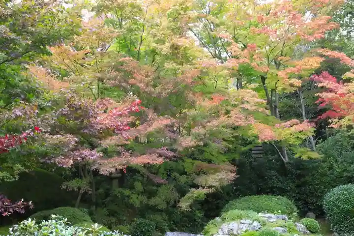 源光庵(京都府)