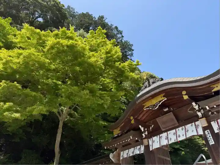高麗神社(埼玉県)