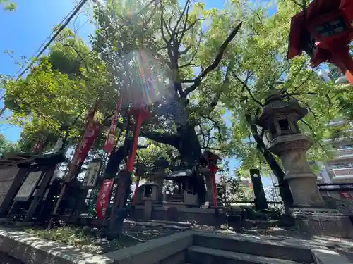 若一神社(京都府)