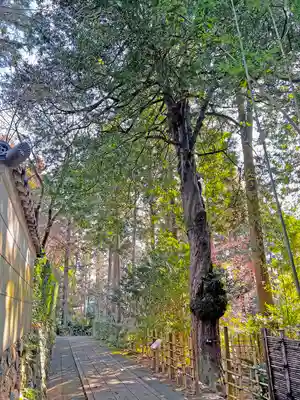 龍潭寺のその他建物