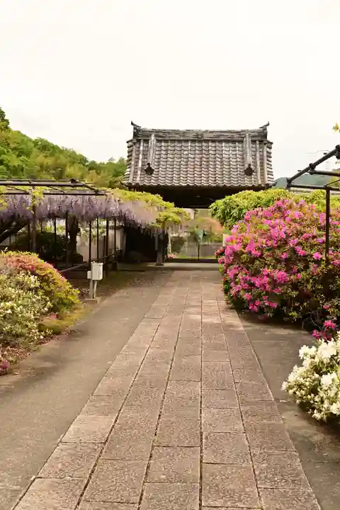 長泉寺(埼玉県)