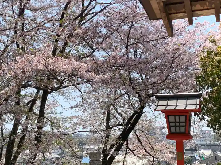 千姫天満宮の景色