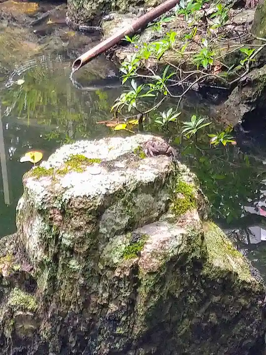 潮江天満宮の庭園