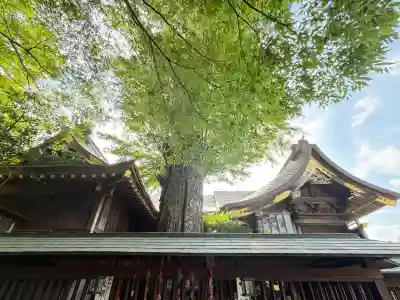 麻賀多神社(千葉県)