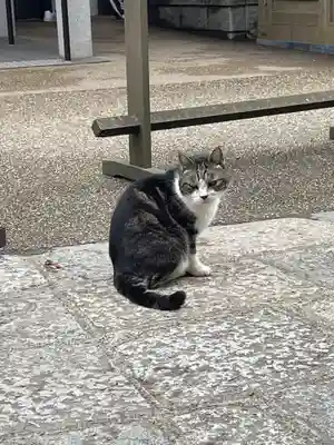 円覚寺(神奈川県)