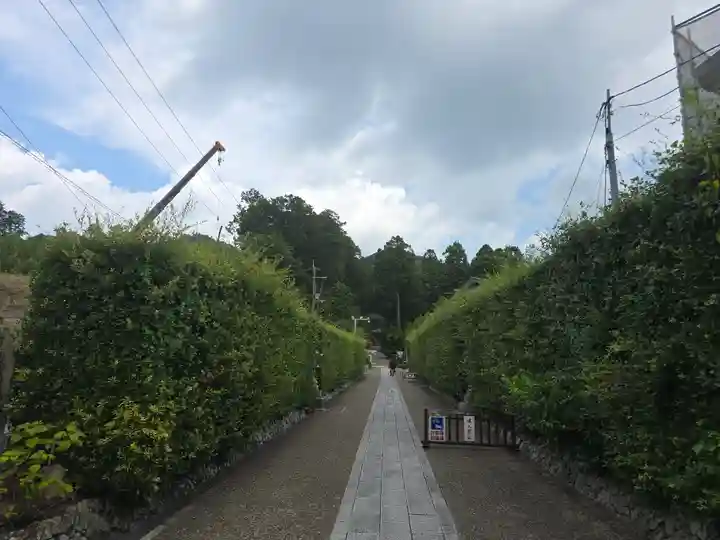 三室戸寺(京都府)