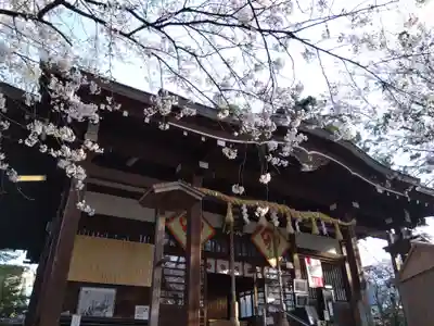 湊八幡神社の本殿・本堂