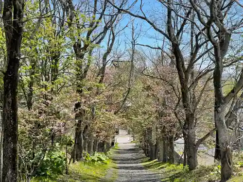 釧路一之宮 厳島神社の景色