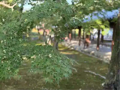 東福禅寺(東福寺)(京都府)
