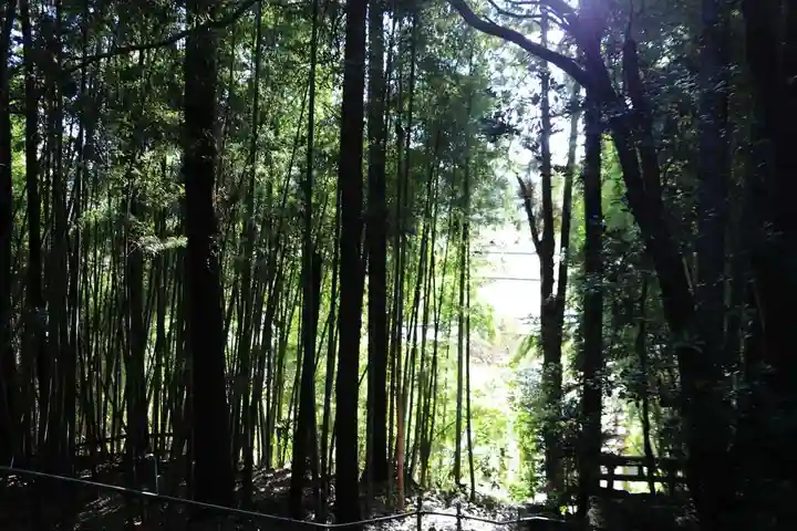 鹿島神社の自然