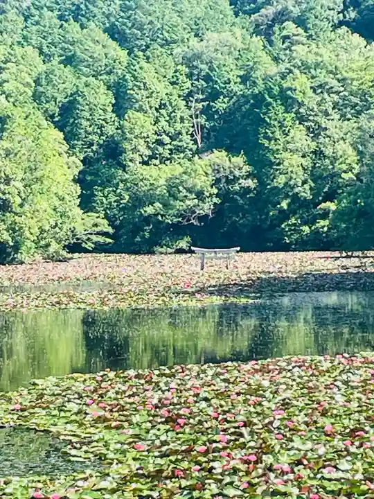 八幡神社(滋賀県)