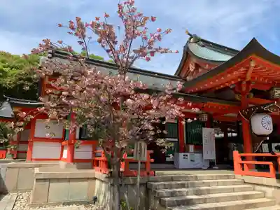 生田神社の本殿・本堂