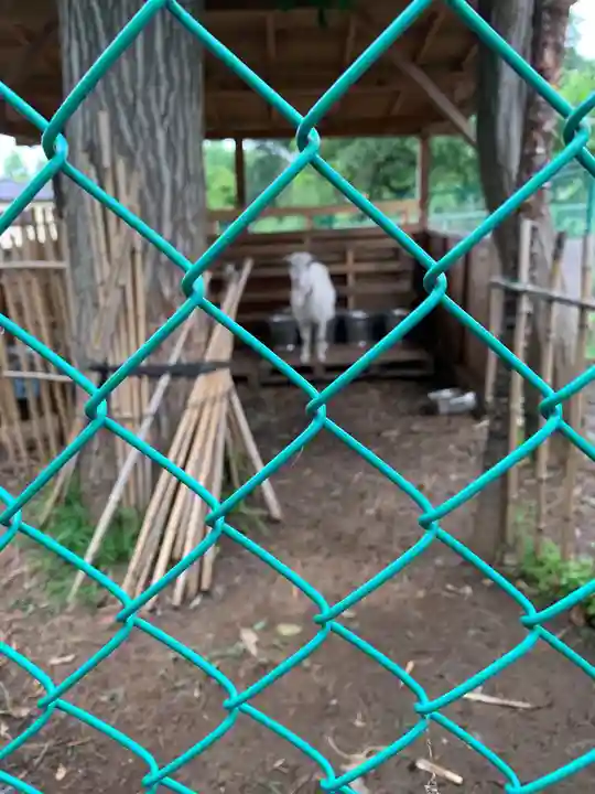 蓮田東照宮(埼玉県)