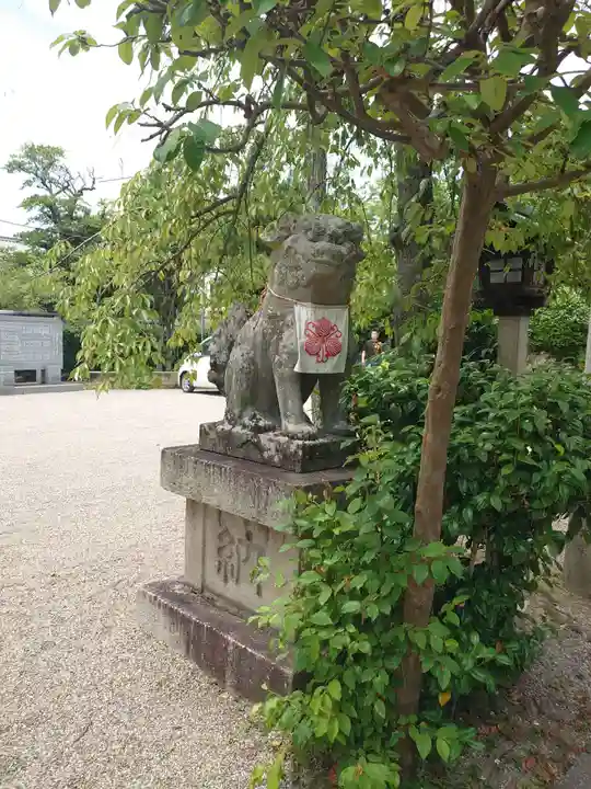 三輪坐恵比須神社の狛犬