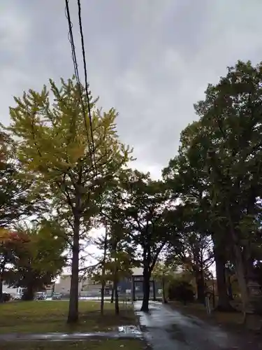 厚別神社(北海道)