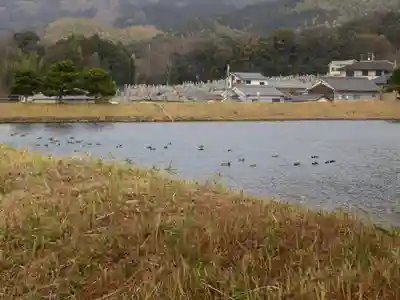 崇神天皇　山邊道勾岡上陵の動物