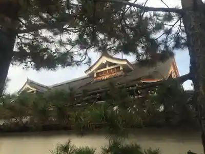 妙心寺（妙心禅寺）の本殿・本堂