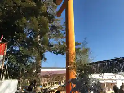 川越氷川神社(埼玉県)