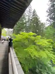 石山寺の景色