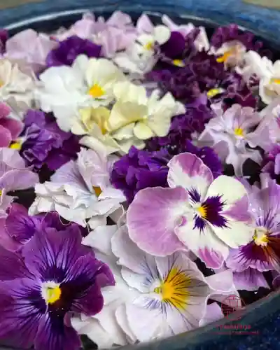 立志神社(滋賀県)