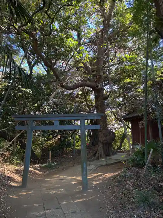 熊野神社(千葉県)