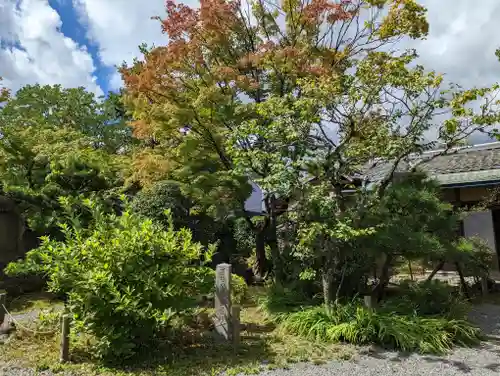 神光院(京都府)