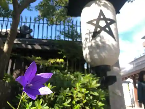 晴明神社(京都府)