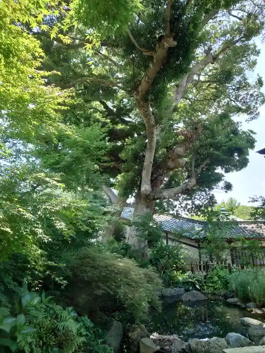 宇賀神社(神奈川県)
