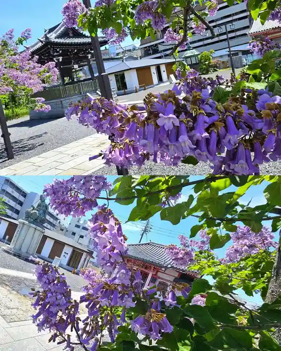 津観音(三重県)