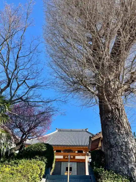 西勝寺の{uncategorized: "未分類", other: "その他", undefined: "問題あり", building: "その他建物", grave: "お墓", sacred_gate: "鳥居", guardian: "狛犬", statue: "像", buddha: "仏像", history: "歴史", nature: "自然", garden: "庭園", animal: "動物", pagoda: "塔", temizu: "手水舎", mountain_gate: "山門・神門", sanctuary: "本殿・本堂", subordinate: "末社・摂社", art: "芸術", scenery: "景色", jizo: "地蔵", ema: "絵馬", goshuin: "御朱印", omikuji: "おみくじ", items: "授与品その他", amulet: "お守り", goshuincho: "御朱印帳", eats: "食事", festival: "お祭り", votive_dance: "神楽", shichigosan: "七五三参", wedding: "結婚式", experience: "体験その他", initially: "初詣", around: "周辺", anti_infection: "感染症対策"}