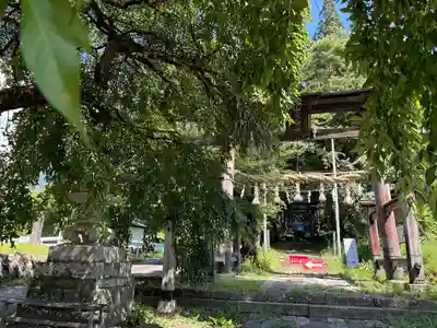 山家神社(長野県)