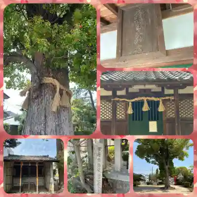 須左男神社(兵庫県)