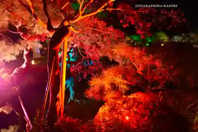 平安神宮(京都府)