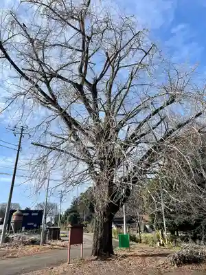 古泉馬頭観世音(栃木県)