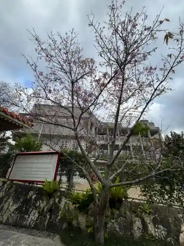 識名宮の{uncategorized: "未分類", other: "その他", undefined: "問題あり", building: "その他建物", grave: "お墓", sacred_gate: "鳥居", guardian: "狛犬", statue: "像", buddha: "仏像", history: "歴史", nature: "自然", garden: "庭園", animal: "動物", pagoda: "塔", temizu: "手水舎", mountain_gate: "山門・神門", sanctuary: "本殿・本堂", subordinate: "末社・摂社", art: "芸術", scenery: "景色", jizo: "地蔵", ema: "絵馬", goshuin: "御朱印", omikuji: "おみくじ", items: "授与品その他", amulet: "お守り", goshuincho: "御朱印帳", eats: "食事", festival: "お祭り", votive_dance: "神楽", shichigosan: "七五三参", wedding: "結婚式", experience: "体験その他", initially: "初詣", around: "周辺", anti_infection: "感染症対策"}