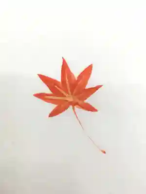 聖天宮 西江寺の授与品その他