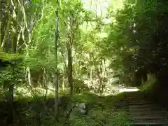 名草厳島神社の自然