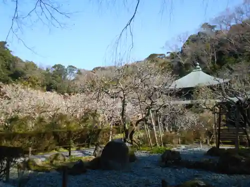 瑞泉寺の庭園