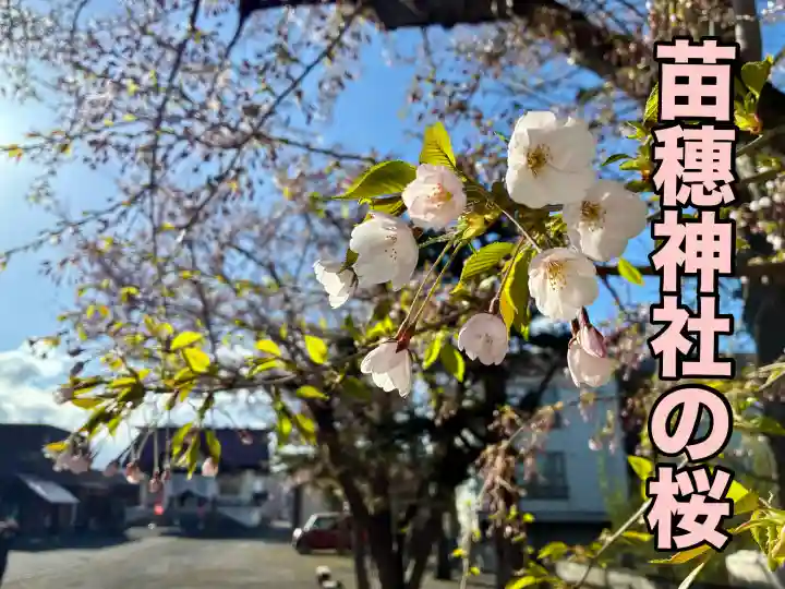 苗穂神社(北海道)
