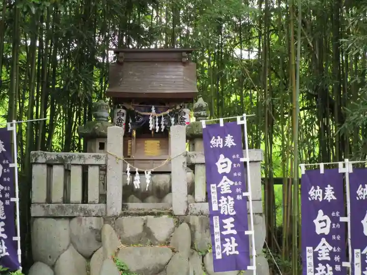 白金龍王社(愛知県)