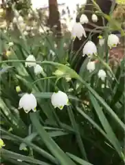 東郷寺の自然