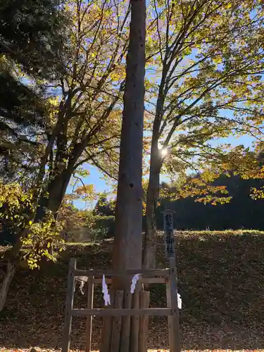 諏訪大社上社前宮(長野県)